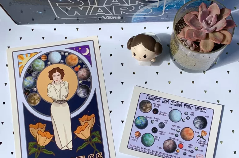 Photo of Princess Leia art print and legend surrounded by plant and Leia figure