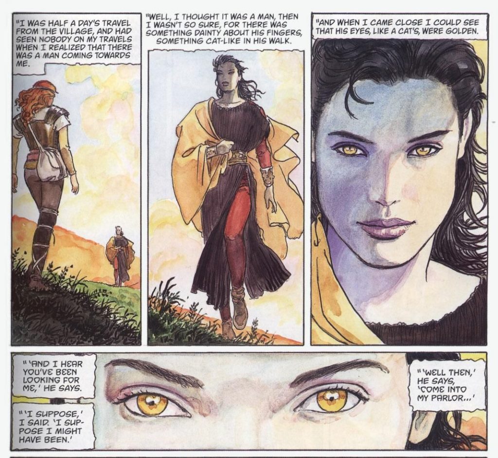 Neil Gaiman's The Sandman: Illustrated comic panel showing two people walking towards each other, the text in the image shows one of the people seducing the other
