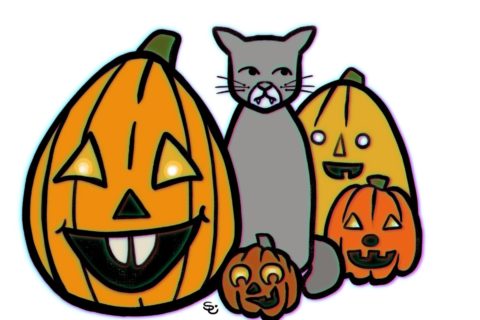 Gray cat looking annoyed surrounded by smiling jack o lanterns